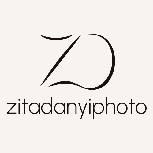 Dányi Zita fotográfus logo