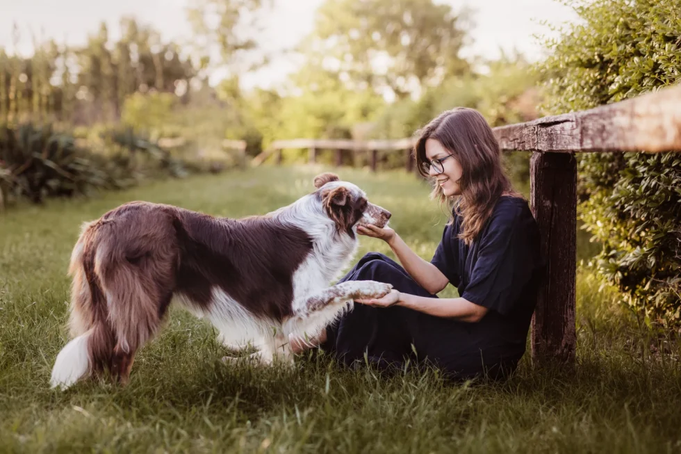 fine art családi kutyafotózás prémium minőségben és élménnyel