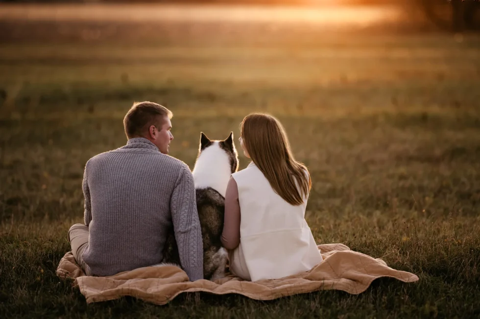 Kutyafotózás kültéren Kecskeméten – husky portré természetes fényben